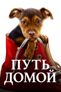 Ոyτb д0ʍ0й