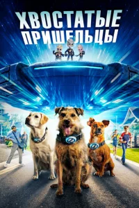 Хв0сτaτӹe npuɯeлbцӹ